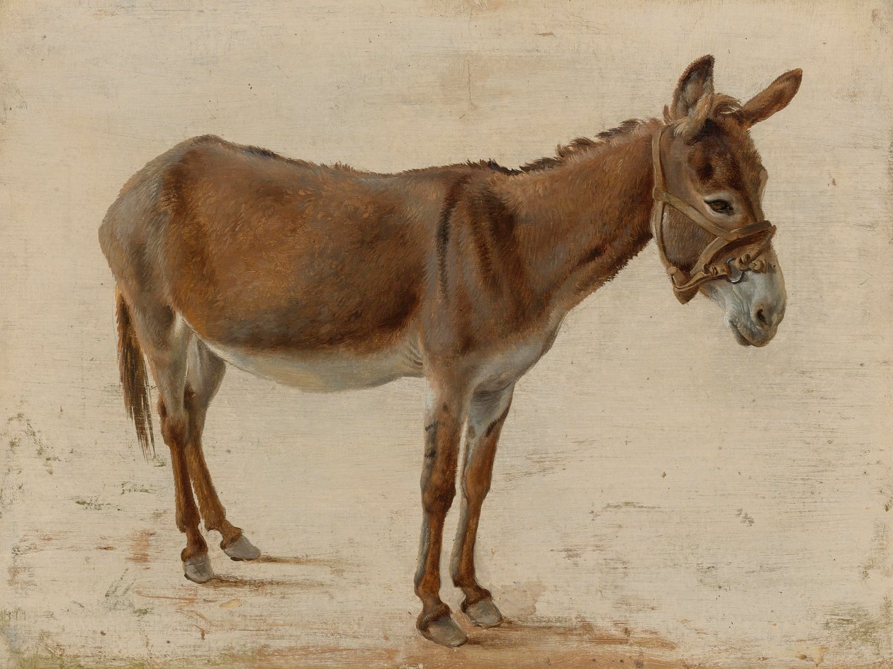 Un asino da Jacques Laurent Agasse