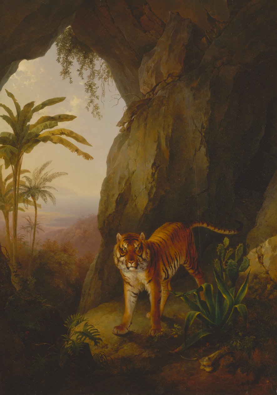 Tigre in una caverna da Jacques Laurent Agasse
