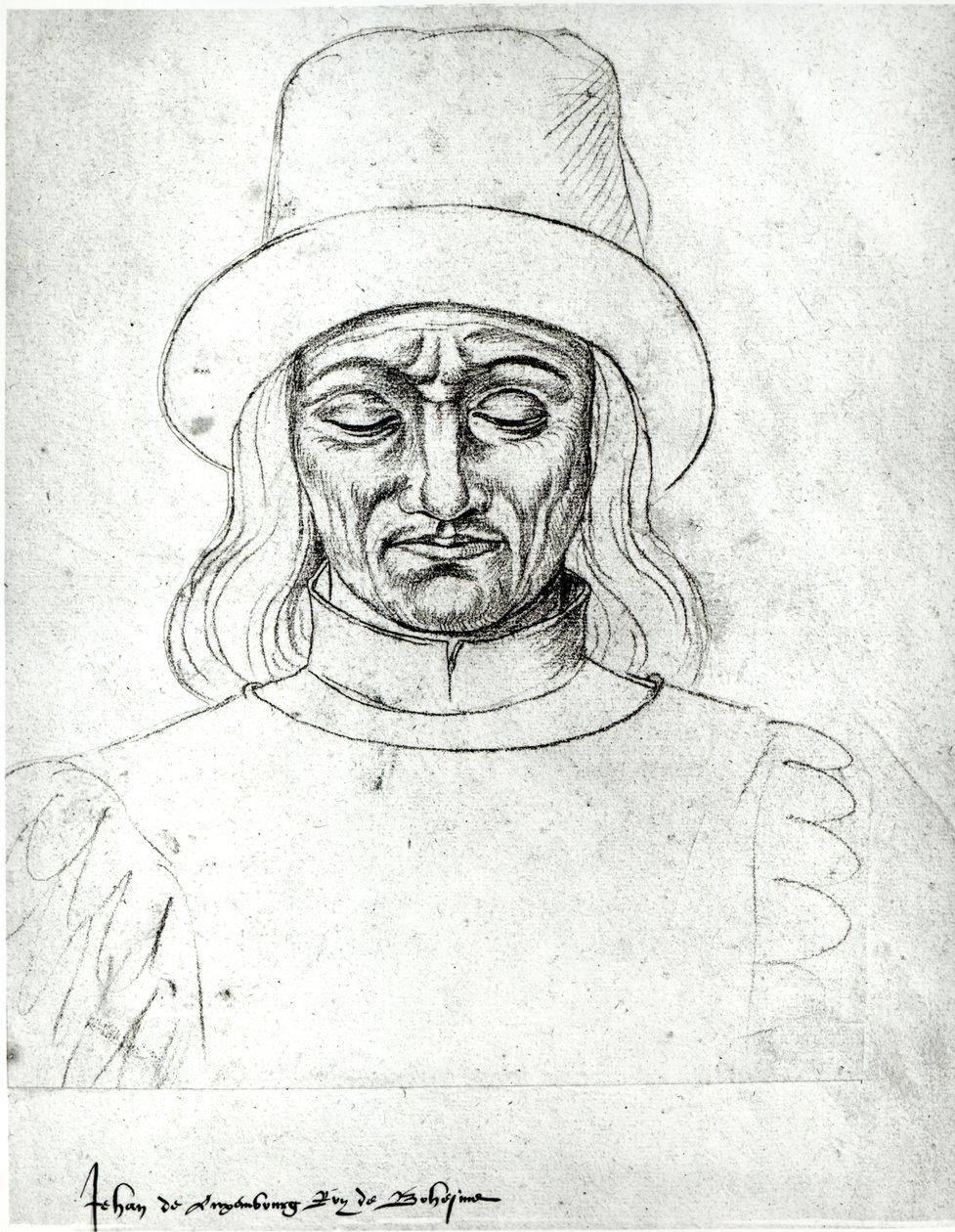 Ms.266 fol.171 Giovanni di Lussemburgo (1296-1346), Re di Boemia, da 