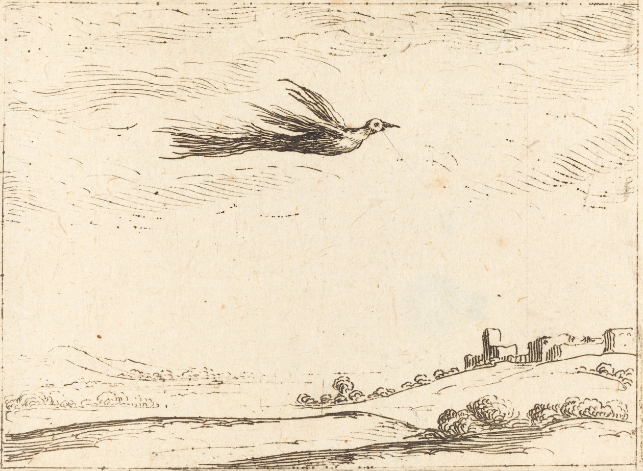 Uccello del paradiso da Jacques Callot