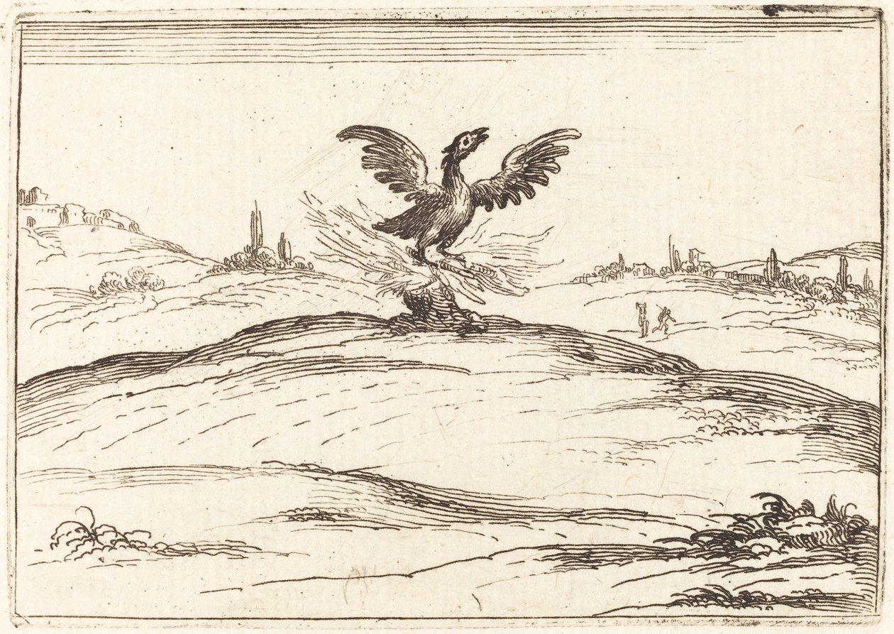 Fenice ardente da Jacques Callot