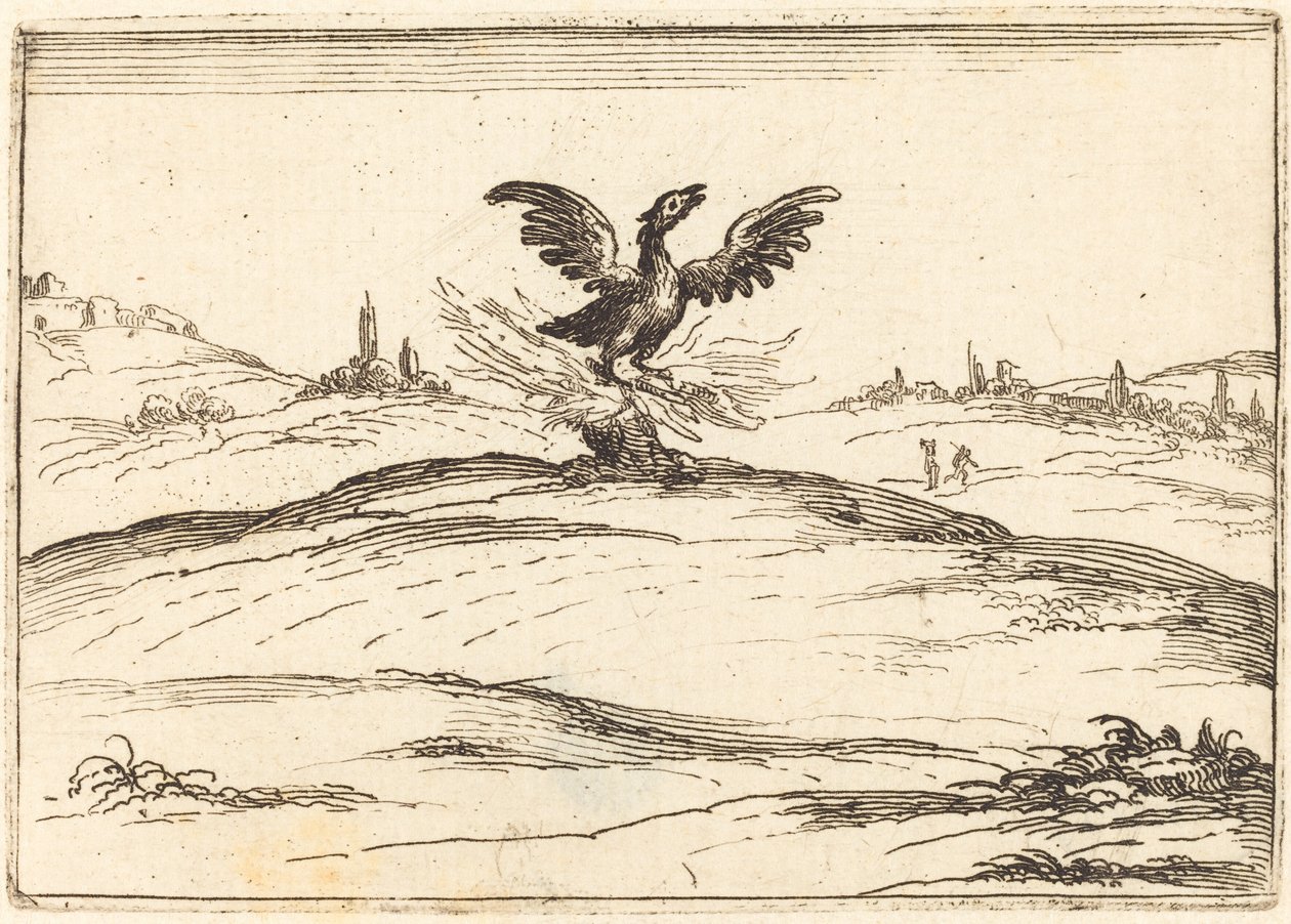 Fenice ardente da Jacques Callot