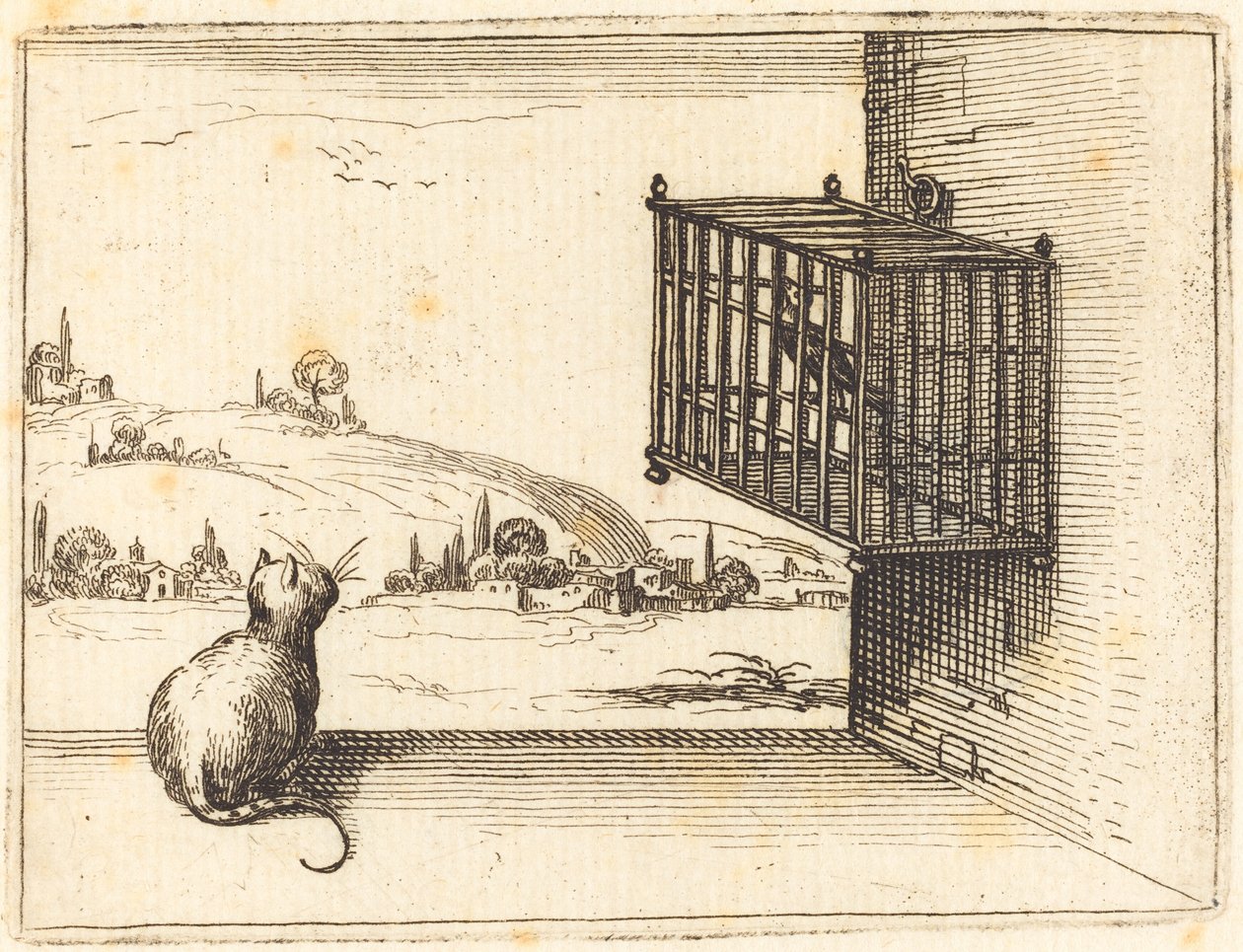 Gatto che osserva un uccello in gabbia da Jacques Callot