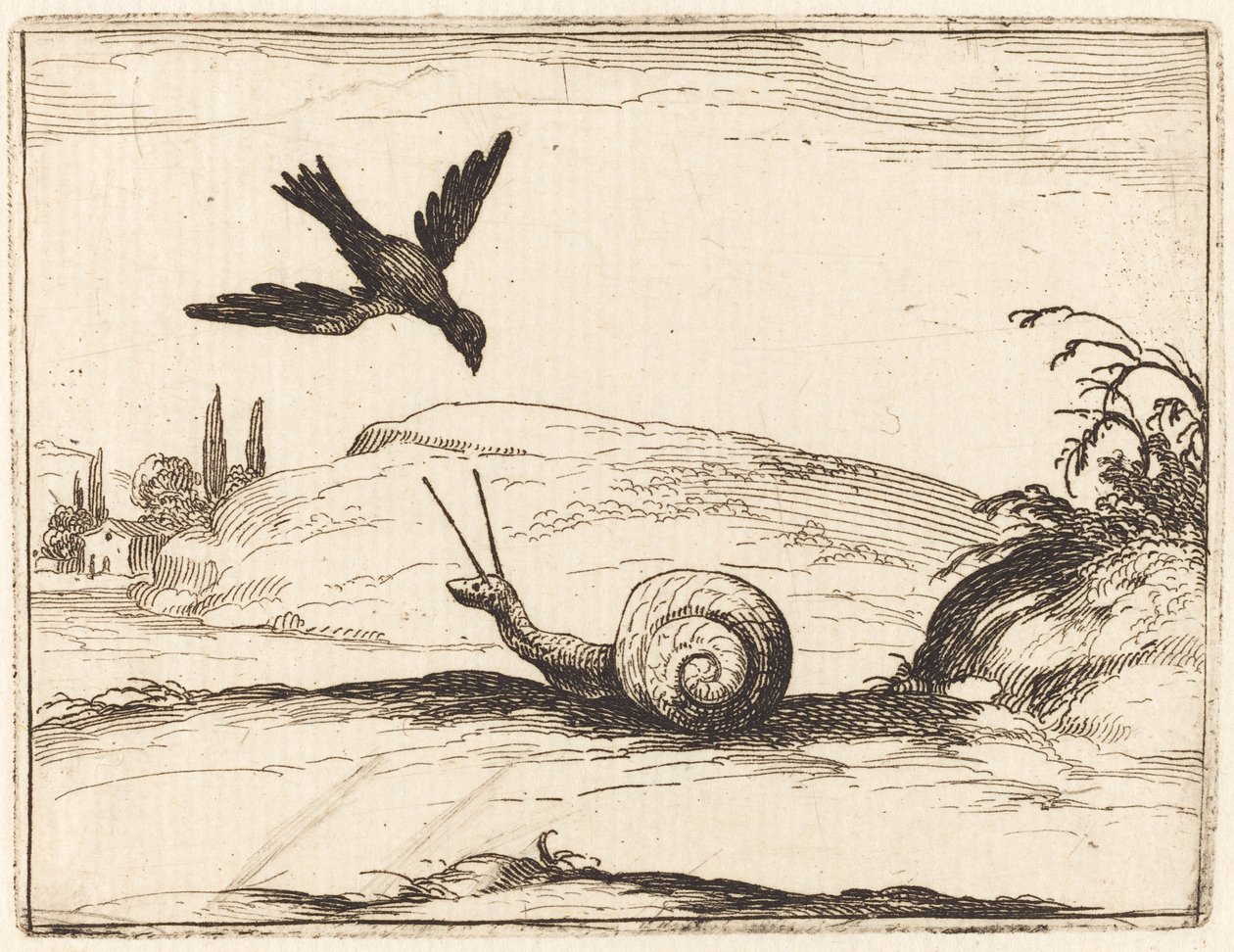 Corvo e lumaca da Jacques Callot