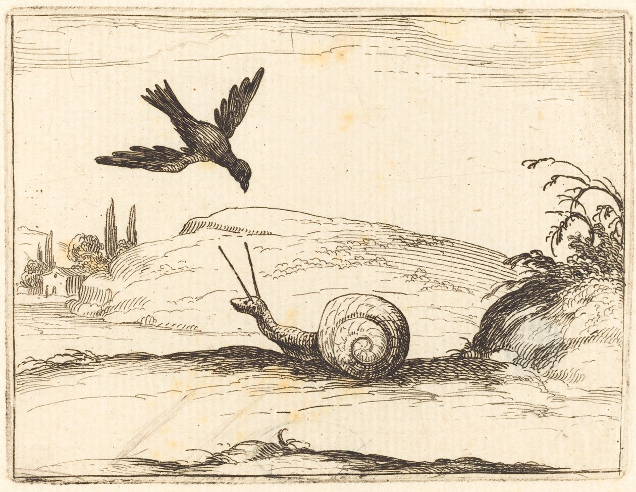 Corvo e lumaca da Jacques Callot