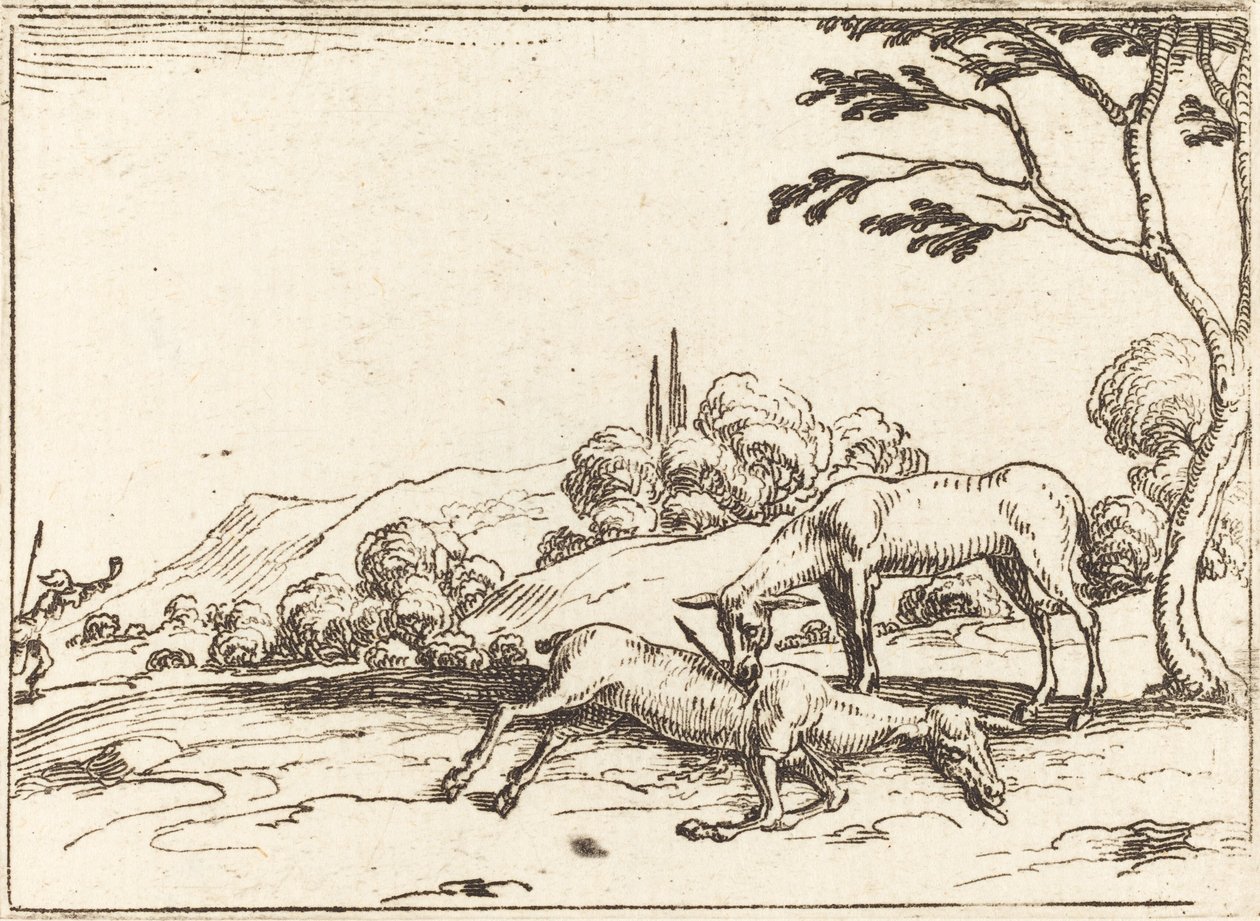 Cerva che piange il suo puledro da Jacques Callot