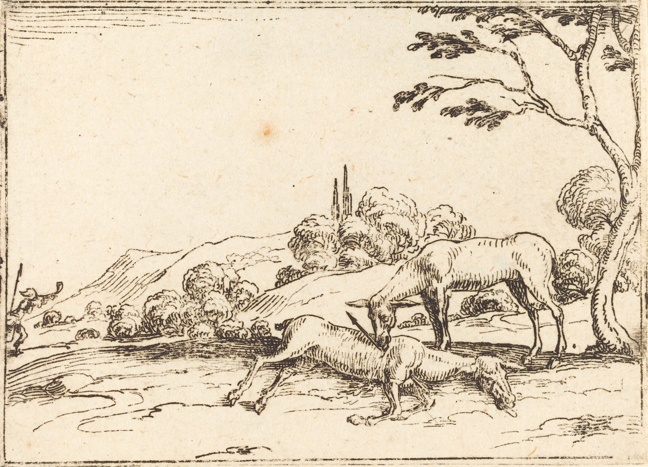 Cerva in lutto per il suo puledro da Jacques Callot