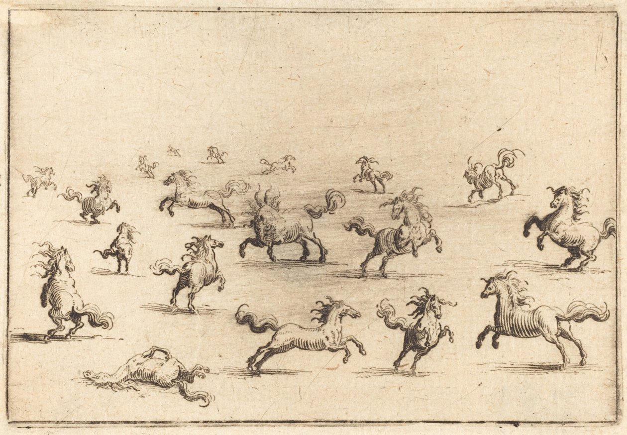 Cavalli al galoppo da Jacques Callot