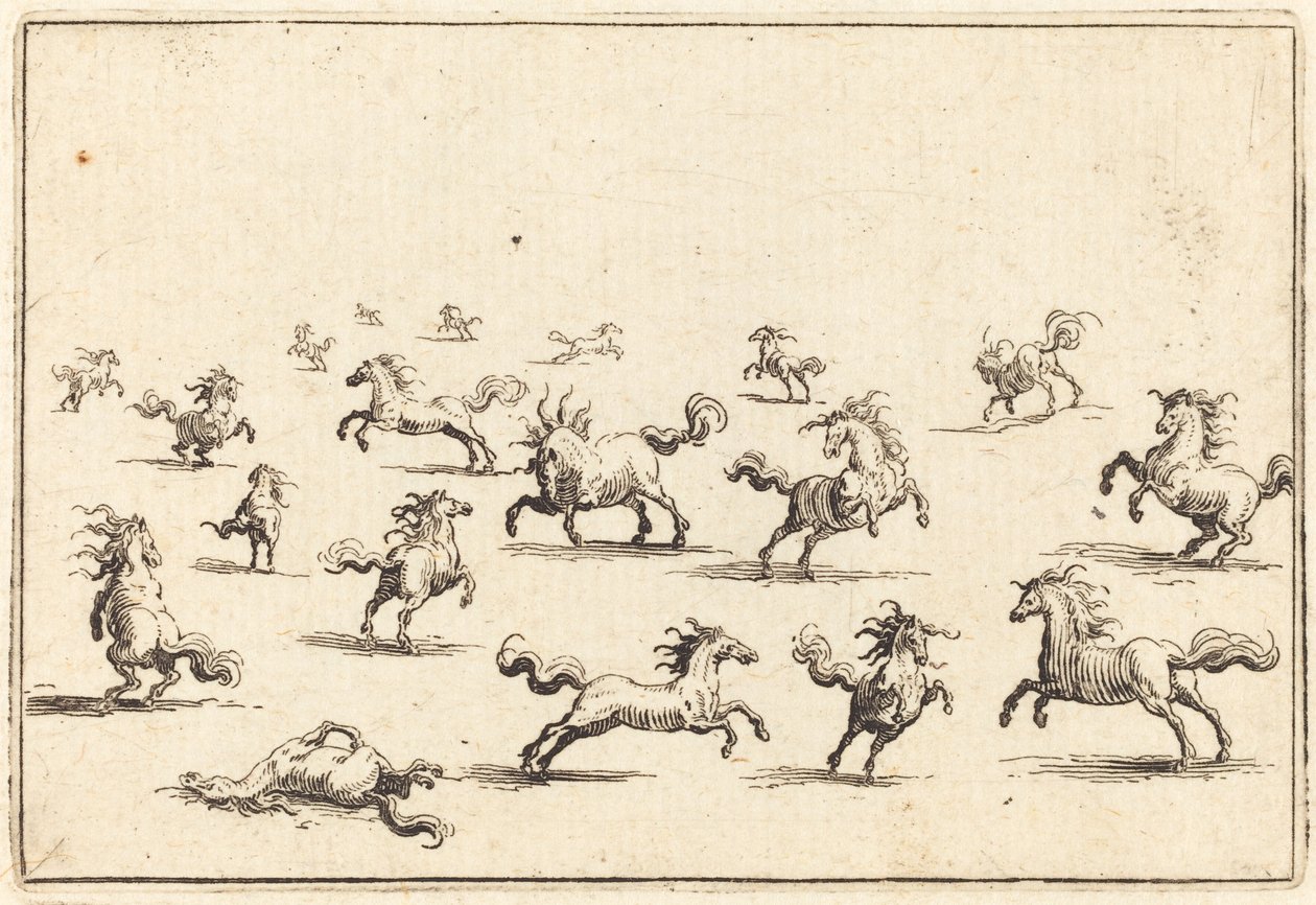 Cavalli al galoppo da Jacques Callot