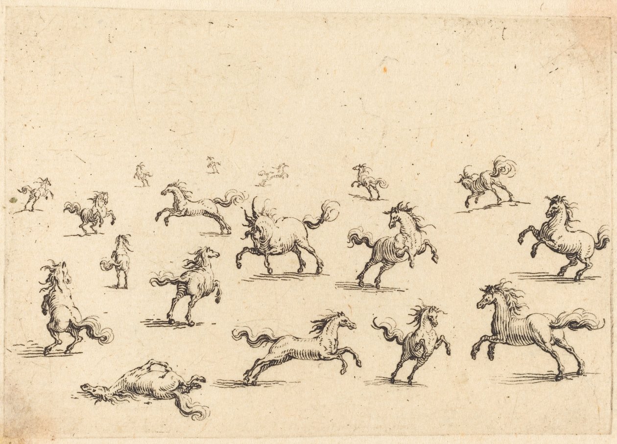 Cavalli al galoppo da Jacques Callot