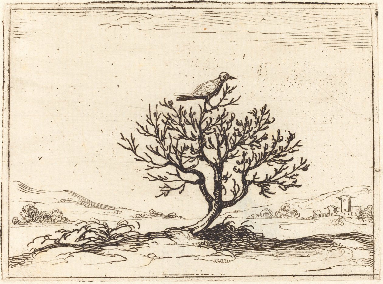 Usignolo in un cespuglio, 1628 da Jacques Callot