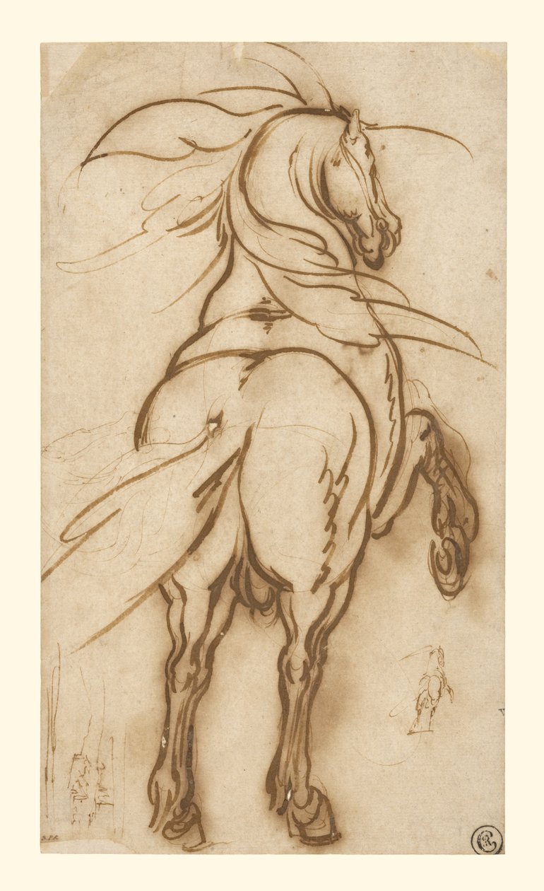 Studio di un cavallo da allevamento da Jacques Callot