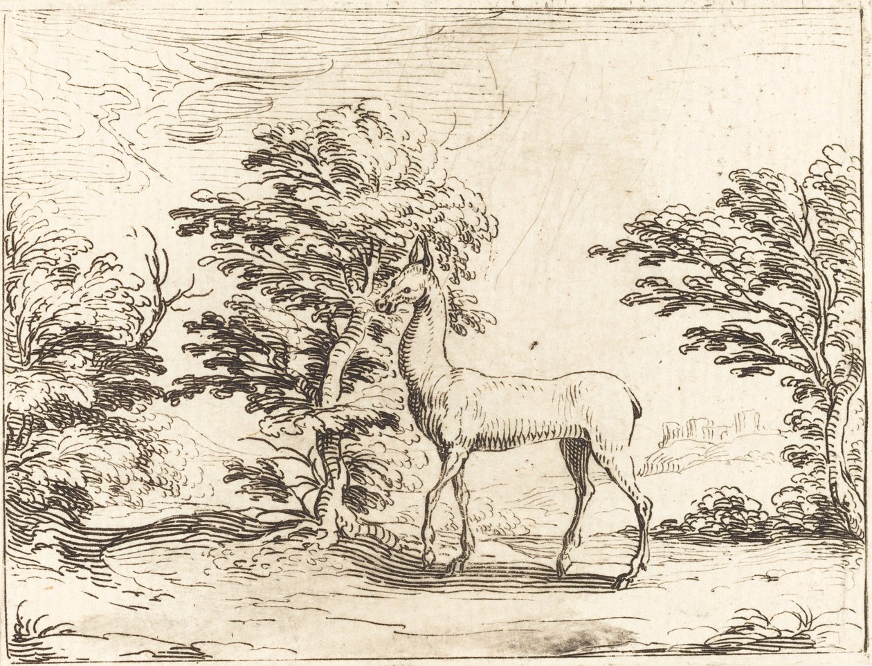La cerva da Jacques Callot