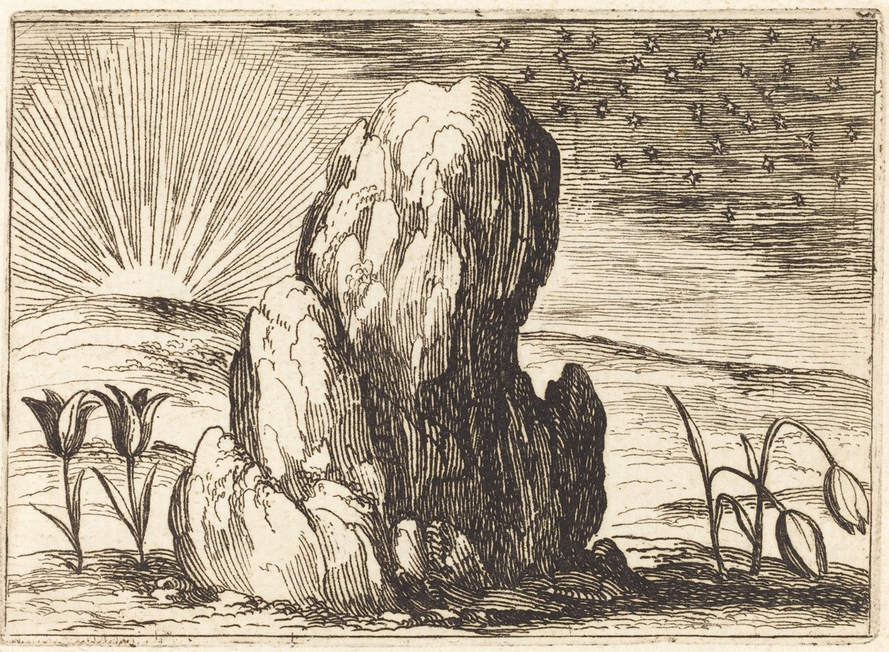 I tulipani e il sole, 1628 da Jacques Callot