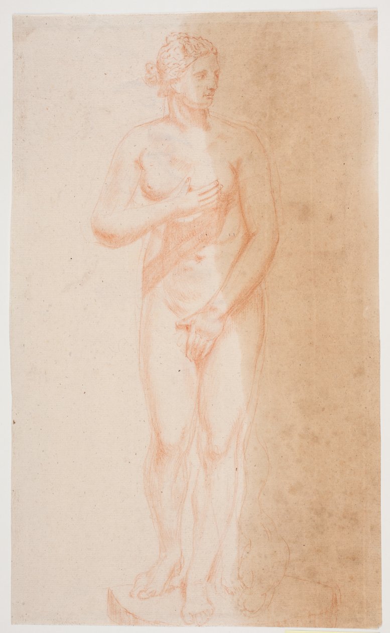 Venere in piedi da Jacques Francois Joseph Saly