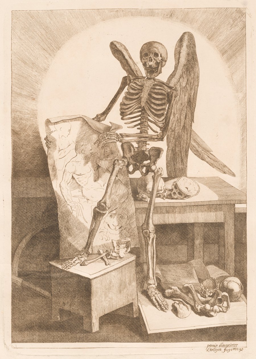Uno Scheletro Alato che Tiene un Disegno Anatomico da Jacques Gamelin