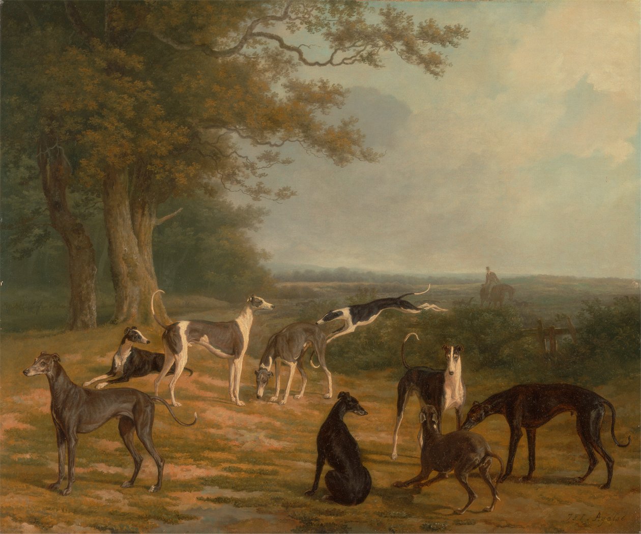 Nove levrieri in un paesaggio da Jacques Laurent Agasse