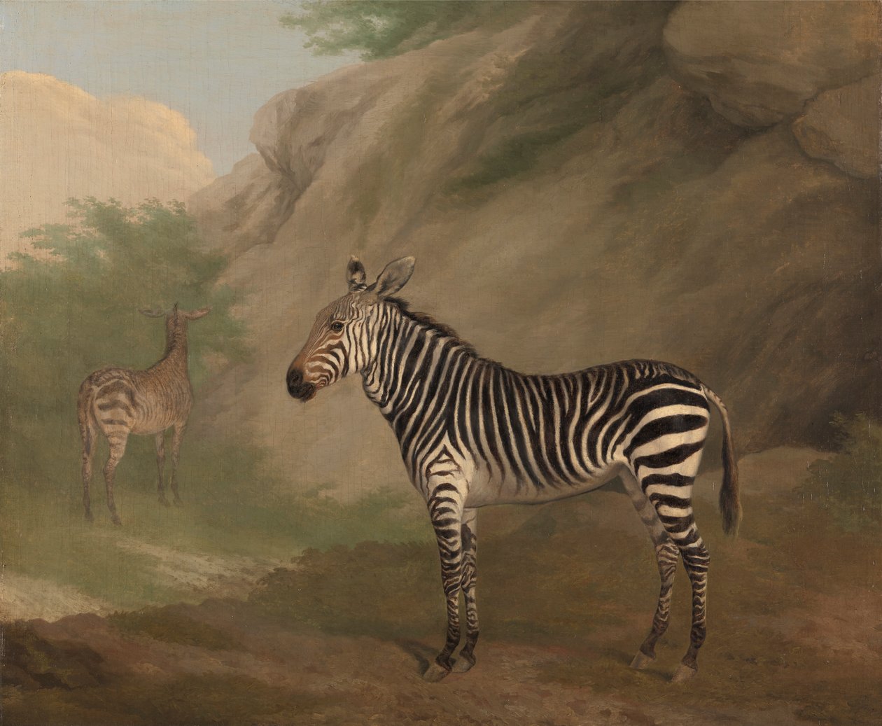 Zebra da Jacques Laurent Agasse