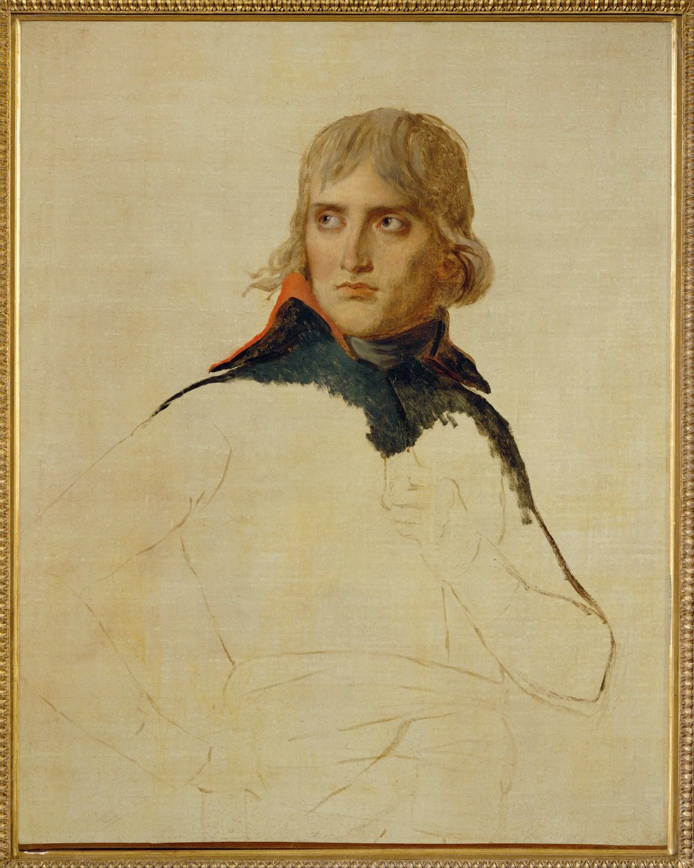 Napoleon Bonaparte … da Jacques Louis David