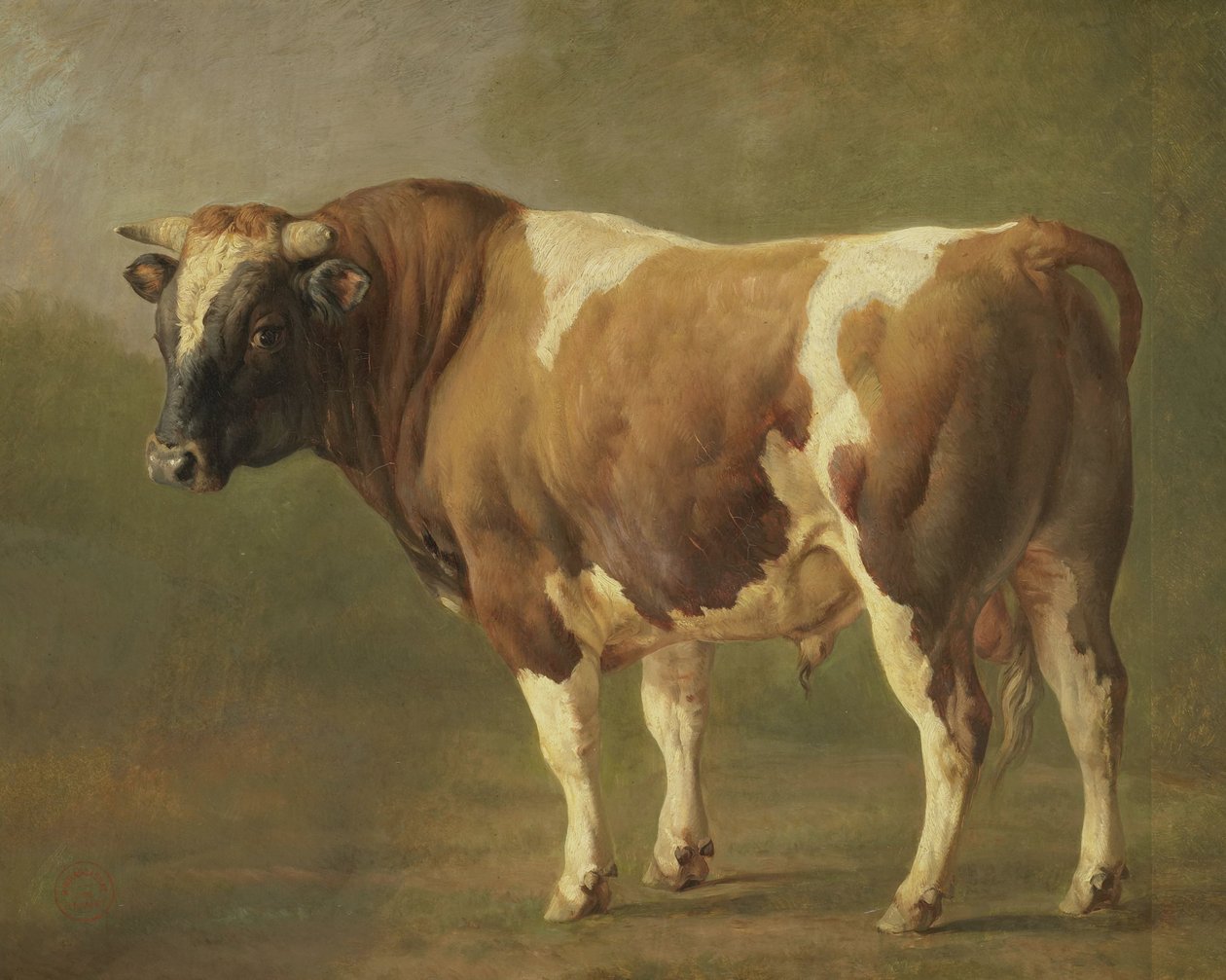 Studio di un toro da Jacques Raymond Brascassat