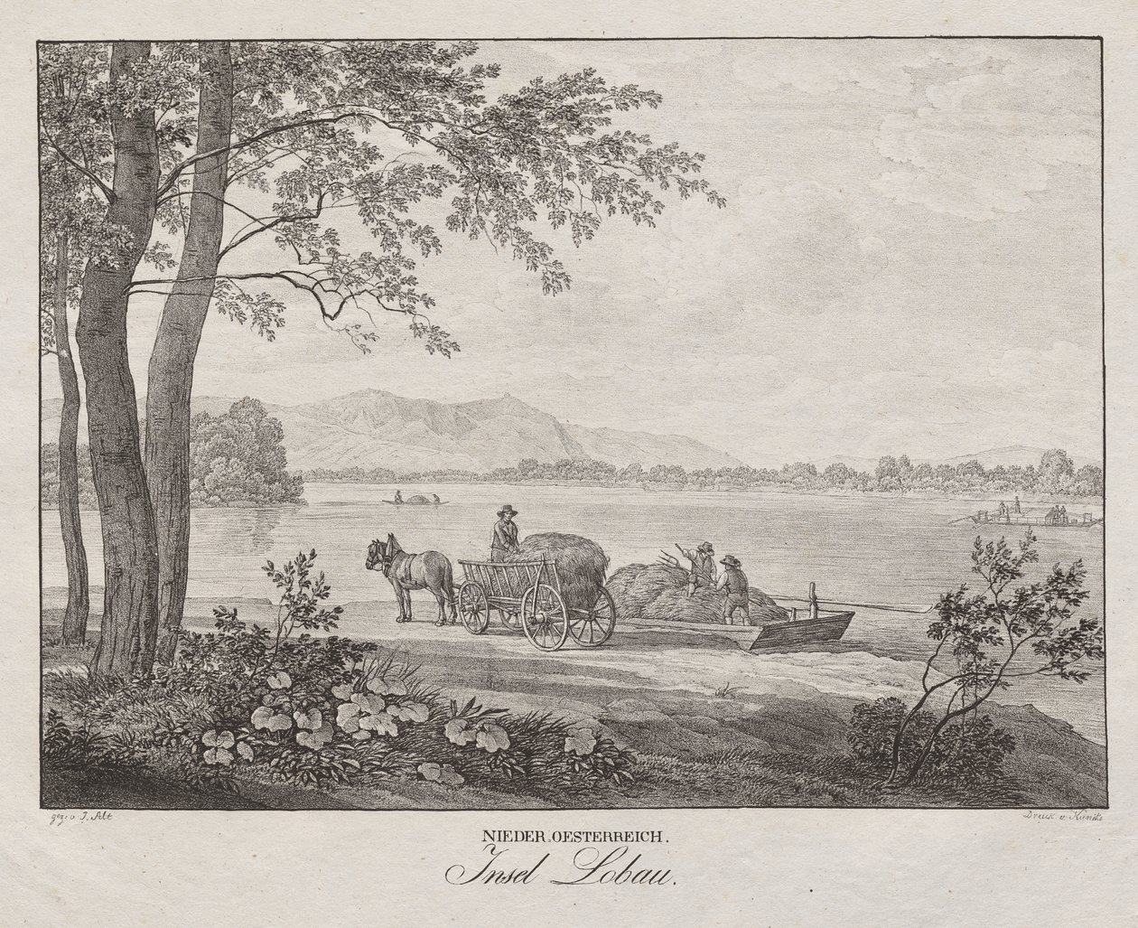 Bassa Austria, isola Lobau da Jakob Alt