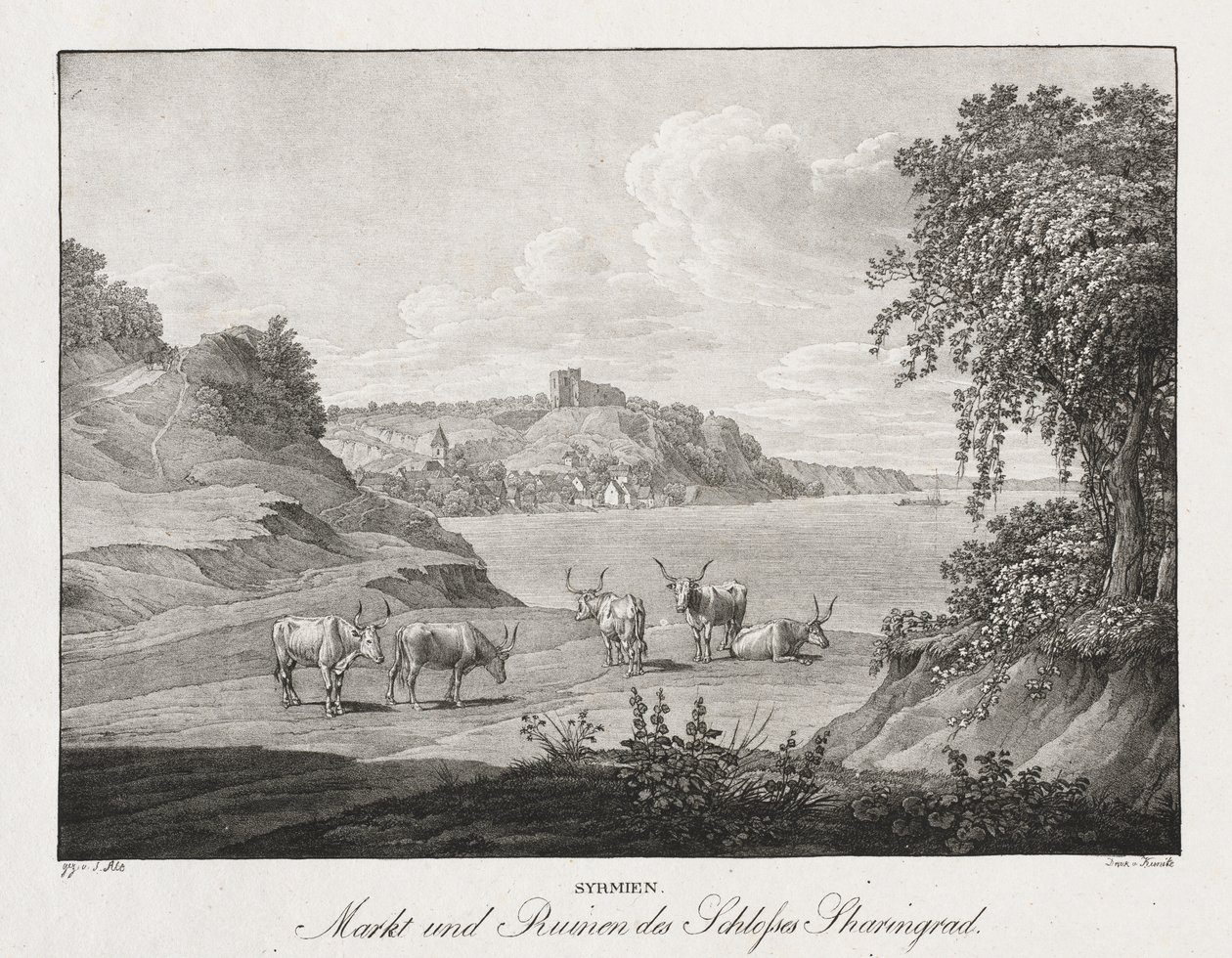 Sirmia, Mercato e Rovine del Castello di Sharengrad da Jakob Alt