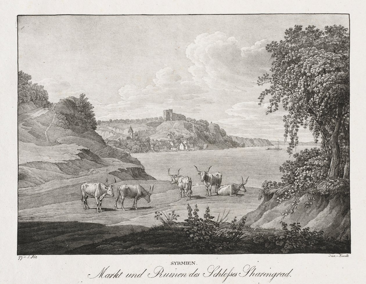 Syrmien, mercato e rovine del castello di Sharengrad da Jakob Alt