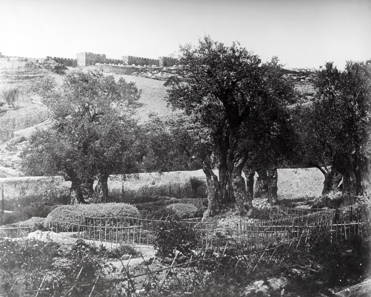 Getsemani, 1857 da Felice Beato
