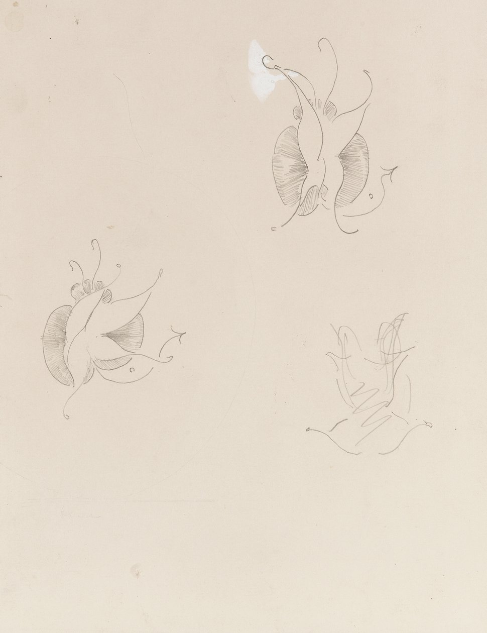 Due farfalle di Whistler e un disegno distrutto, c.1890 da James Abbott McNeill Whistler