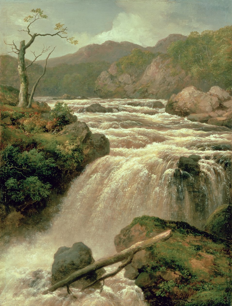 Cascata sul fiume Neath, Galles del Sud, XIX secolo da James Burrell Smith