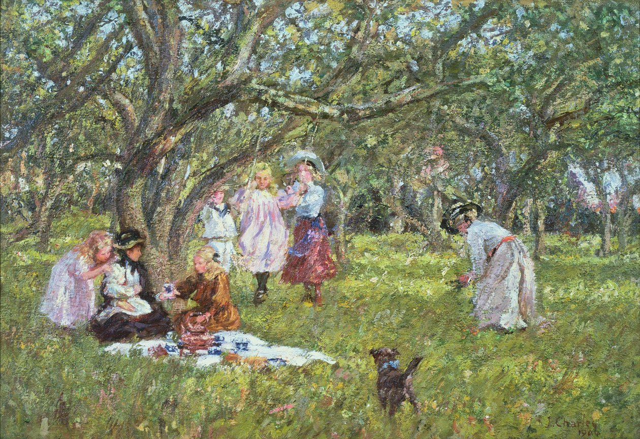 Il picnic da James Charles