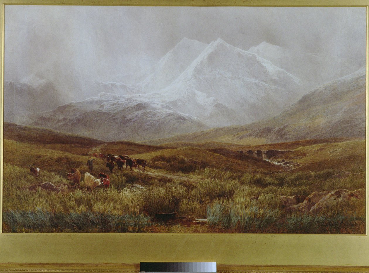 Tempesta di neve su Snowdon, 1879 da James Jackson Curnock