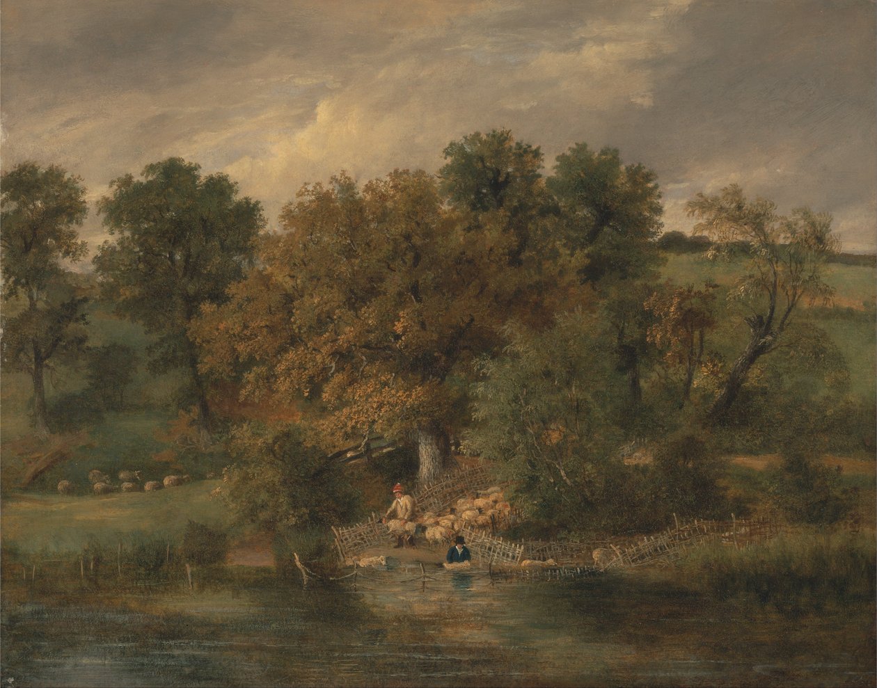 Lavaggio delle Pecore a Postwick Grove, Norwich da James Stark