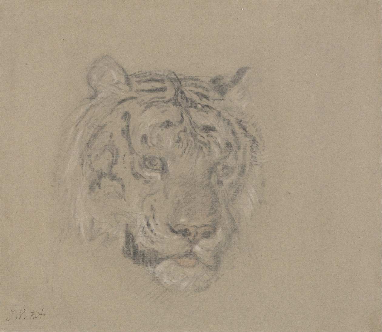 Testa di una tigre da James Ward
