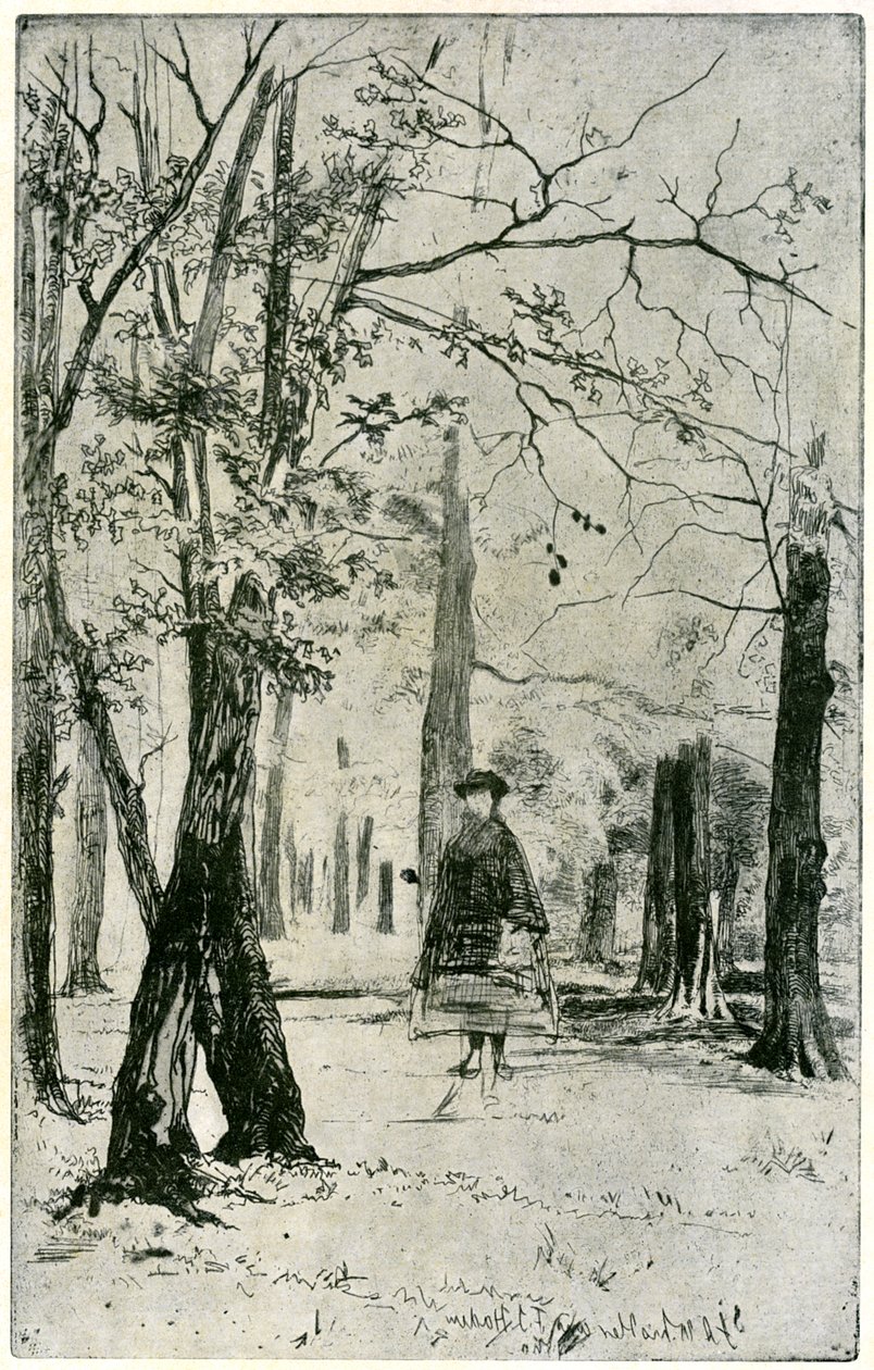 Il bosco, XIX secolo, 1904 da James Abbott McNeill Whistler