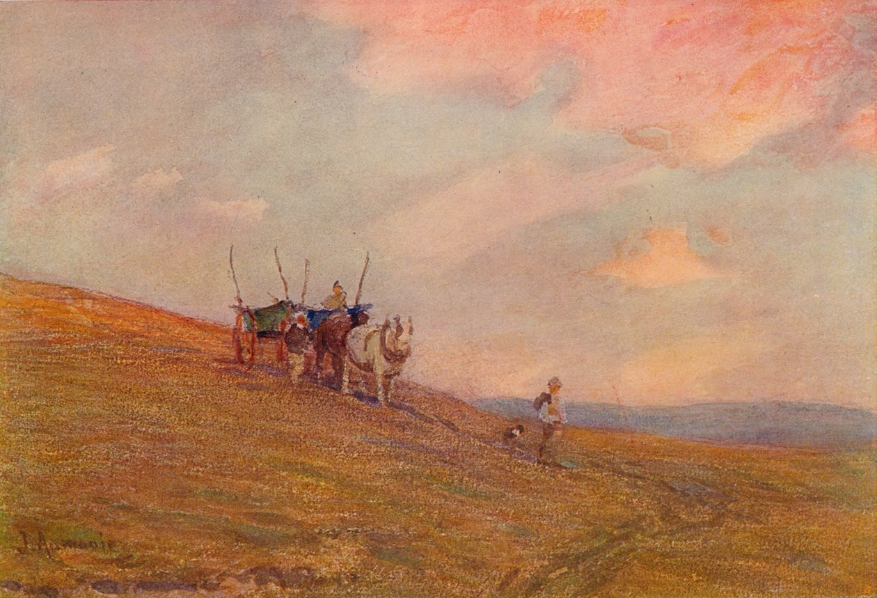 Sulle colline vicino a Harting, c1870-1906, 1906 da James Aumonier