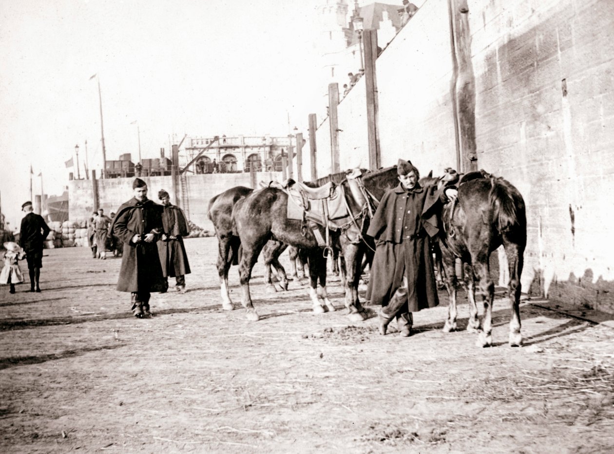 Cavalieri, Anversa da James Batkin