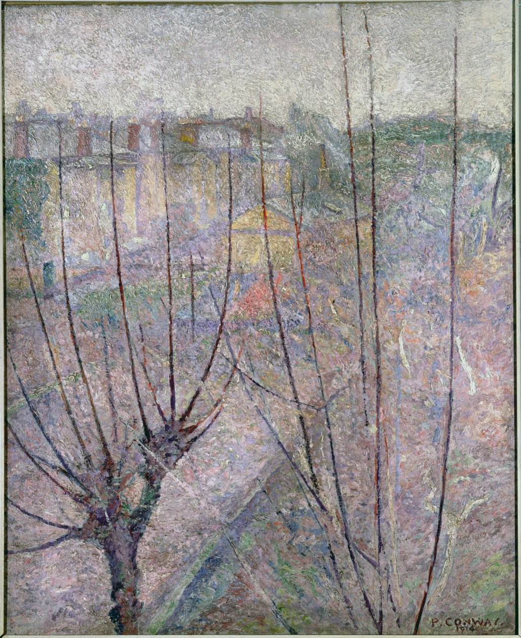 Alberi Potati, Ashford da James Brown