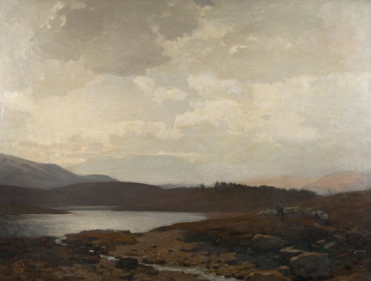Dinnet Moor da James Cadenhead
