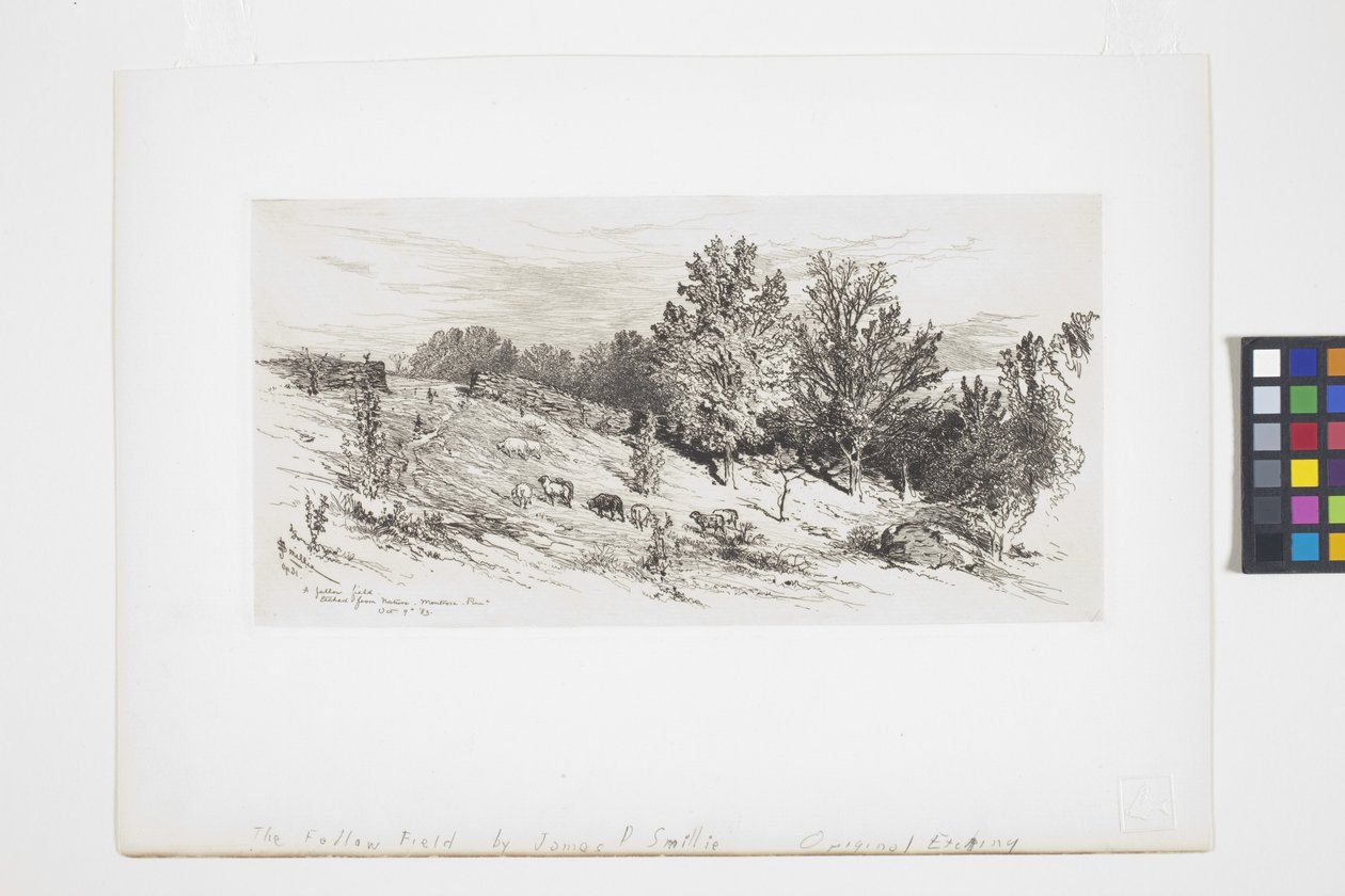 Un Campo Incolto da James David Smillie