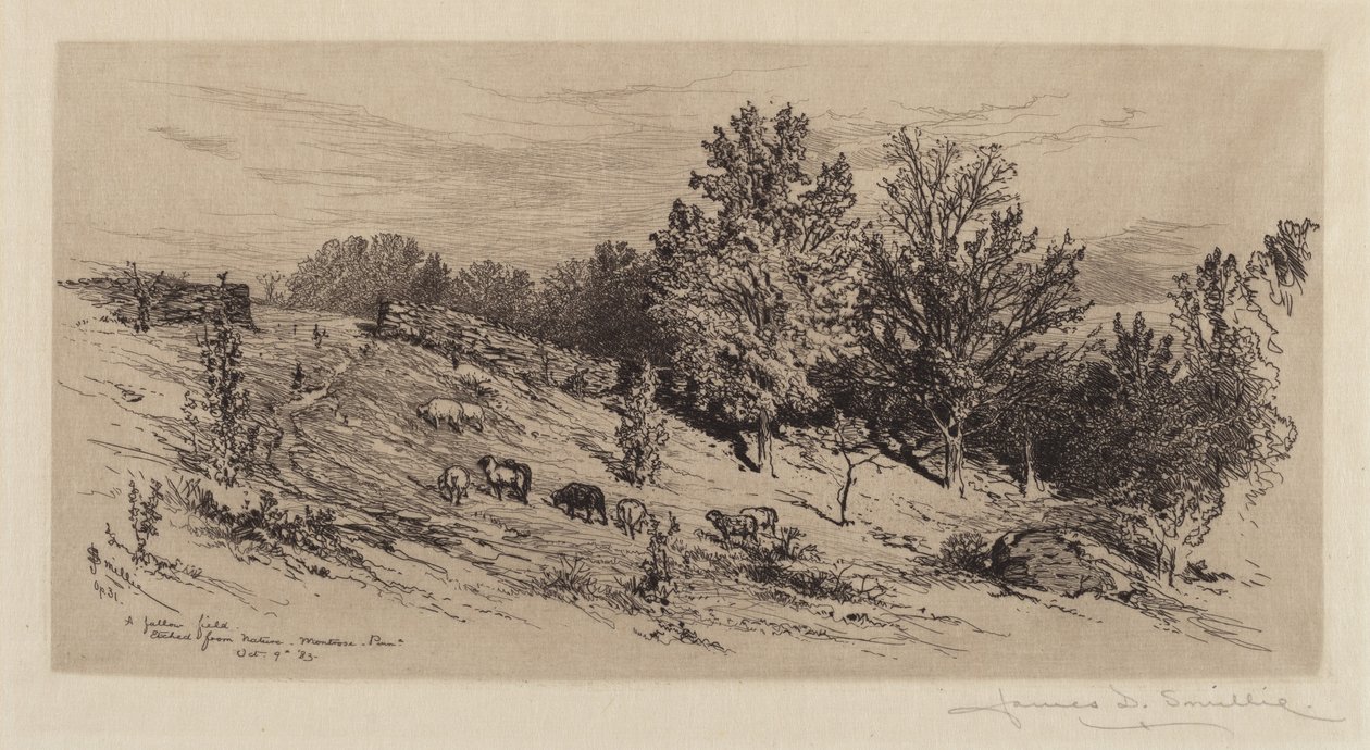 Un Campo Incolto da James David Smillie
