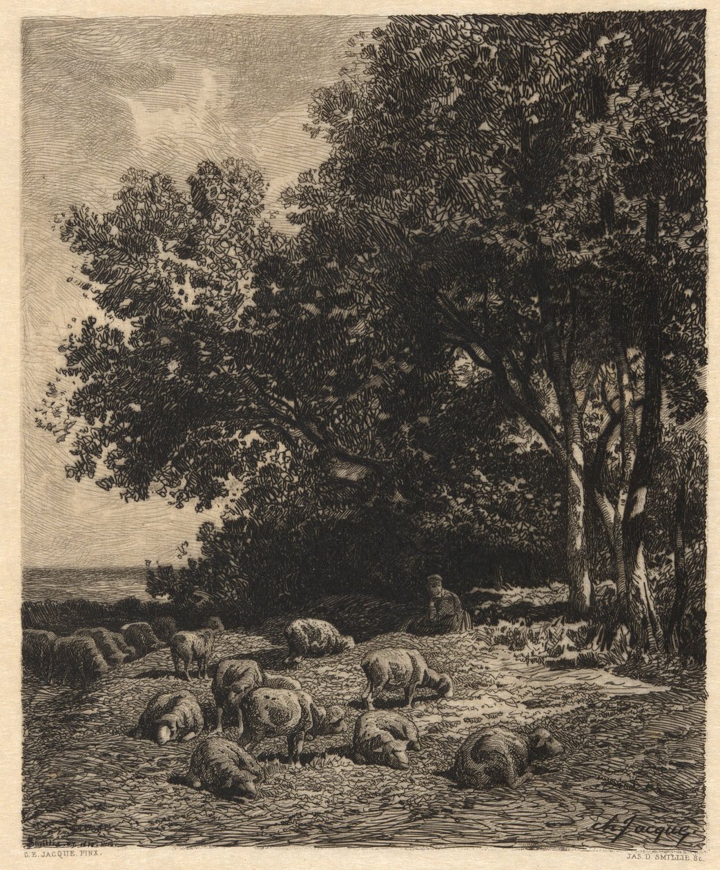 Paesaggio e Pecore da James David Smillie