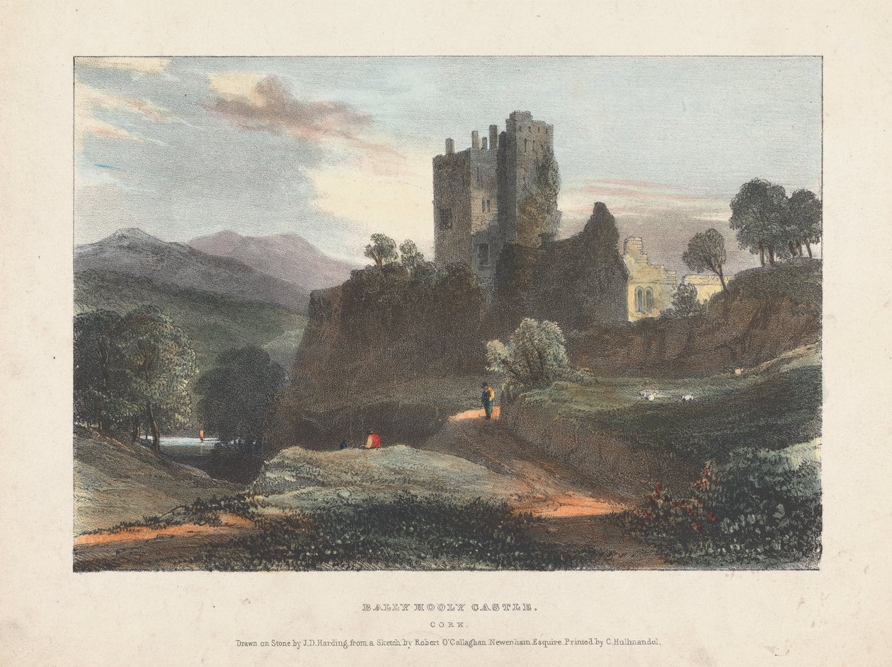 Castello di Dally Hooly da James Duffield Harding