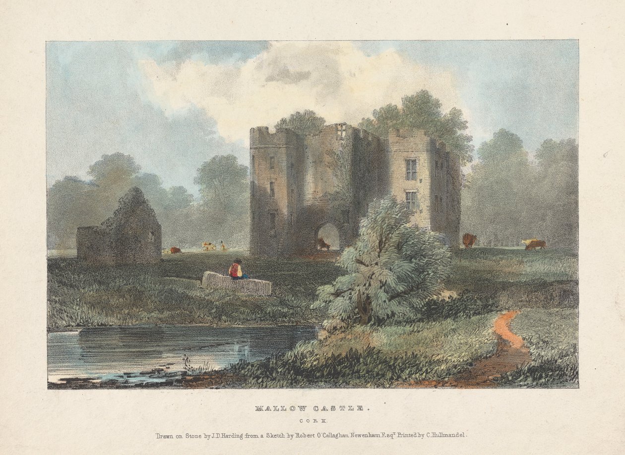 Castello di Mallow da James Duffield Harding