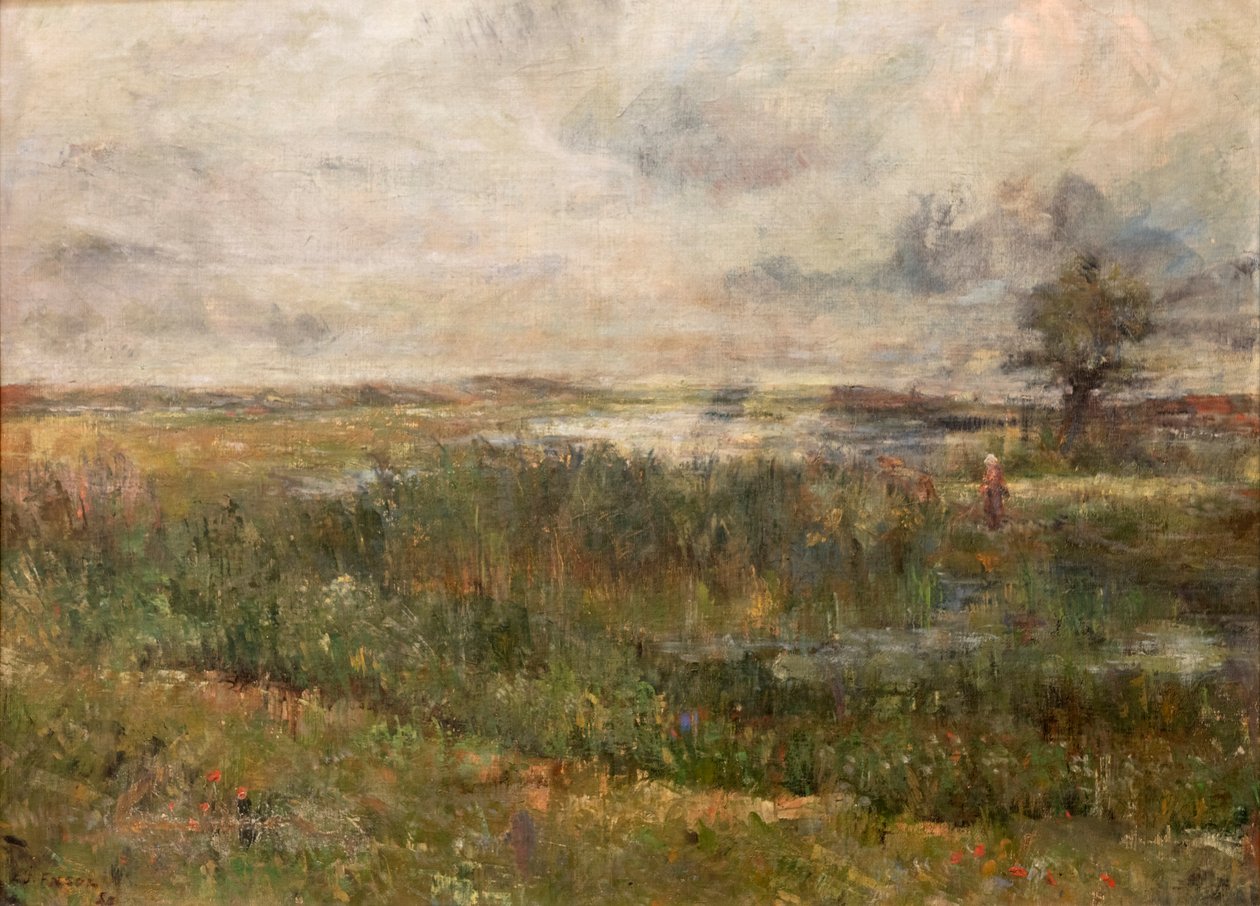 Palude (Les Marais) da James Ensor