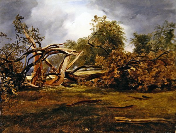 La quercia devastata da James Giles