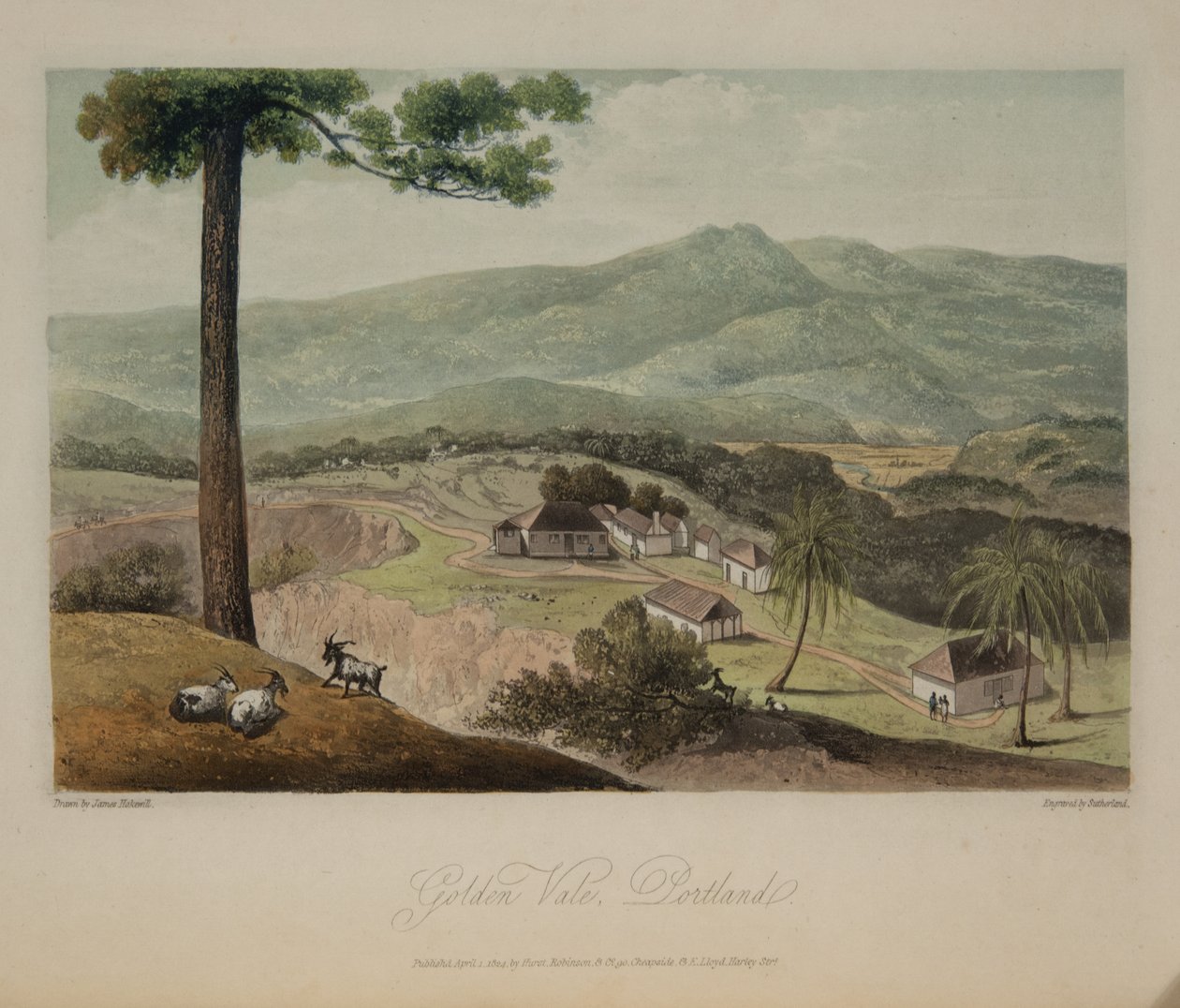 Golden Vale, Portland da James Hakewill