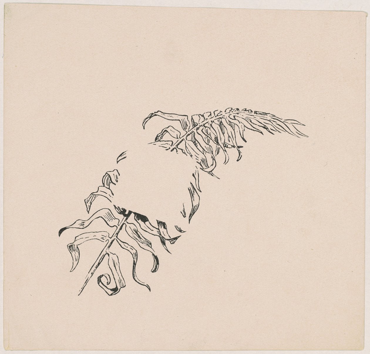 Ramo da James Henry Moser
