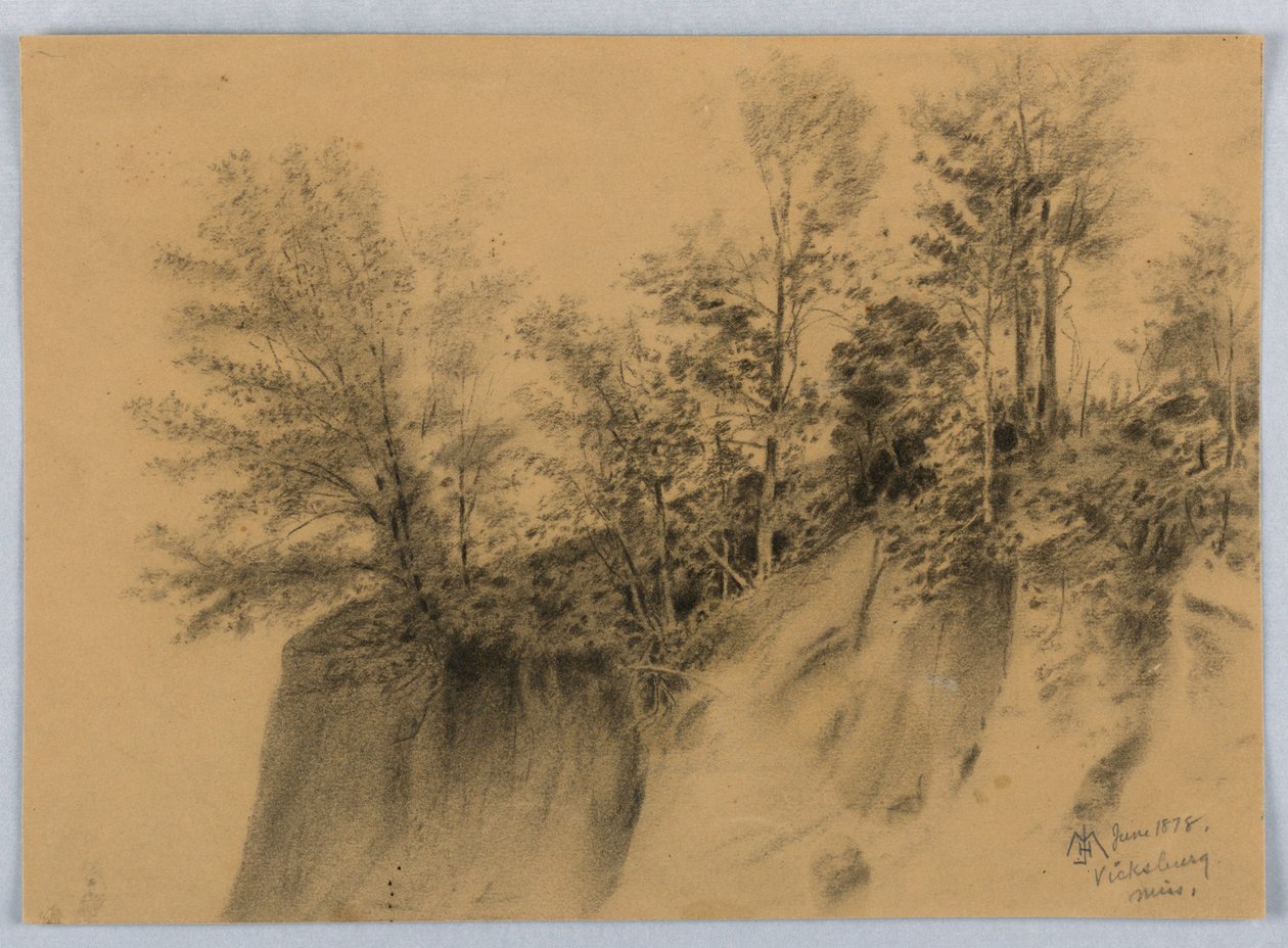 Scogliera e alberi, Vicksburg, Miss. da James Henry Moser