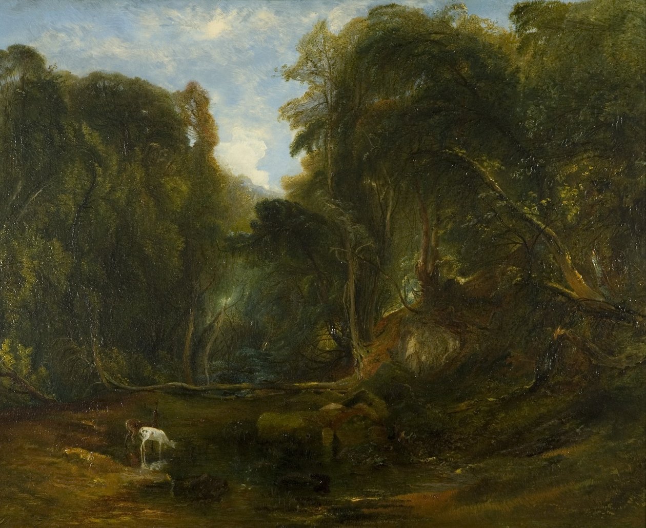 Valle dell